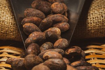 Roasted cocoa. close up. 