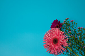Beautiful flowers on the colorful background, with free space for text. Top view, colorful flat...