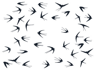 Flying swallow birds silhouettes vector illustration. Nomadic martlets flock isolated on white.