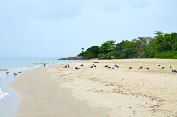 beautiful Jurere beach in Florianopolis, Santa Catarina, Brazil