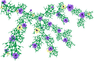 Fototapeta premium flowers on white,tree branch,flowers,
