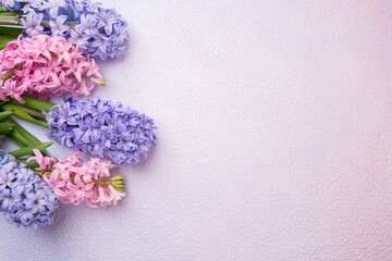 Beautiful hyacinths on a pink-lilac background. Design, postcard, top view