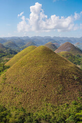 Chocolate Hills, Bohol Island, Philippines, close up