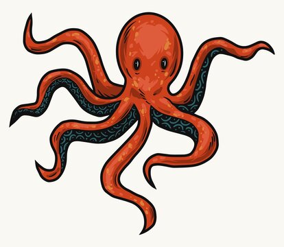 Octopus. Color illustrations. Isolated on white background. Hand drawn design element.