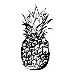 A drawing of a pineapple made by hand. Pineapple drawn with pen and pencil. Vector eps illustrator.