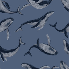Seamless pattern of blue whales. Hand drawn vector illustration. Ocean mammal animal ornament. Beautiful underwater fauna. Colored design for fabric, textile, background, wallpaper, print, decor, wrap