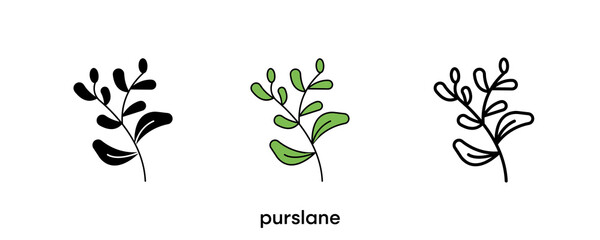 Purslane icon design. Purslane icon set in silhouette, colorful and linear. Purslane icon line vector illustration isolated on a clean background for your web mobile application logo design. line art.