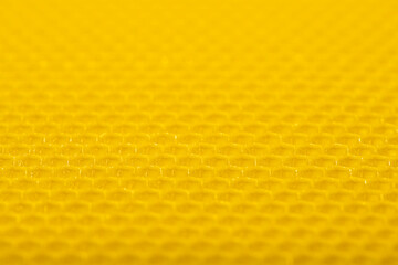 Honeycomb texture background. Selective focus pure beeswax comb.