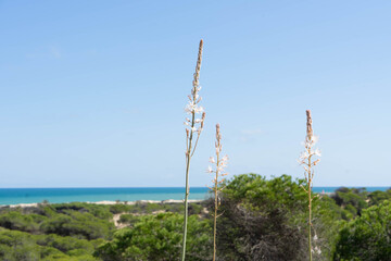 Momentos en las dunas de Guardamar del Segura