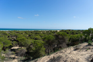 Momentos en las dunas de Guardamar del Segura