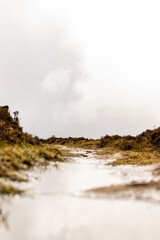 Pathway in the nature, with vegetation and clouds.