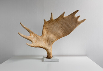 decorative moose elk horn standing on a stand 