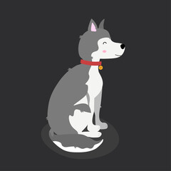 Husky dog on gray background