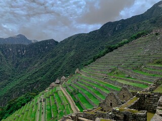 rice terraces