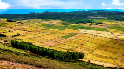 Serrados agrícolas da Ilha Terceira Vistos da Serra do Cume