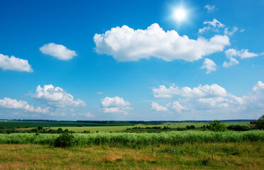 Obraz premium green meadow and blue sky with clouds in summer