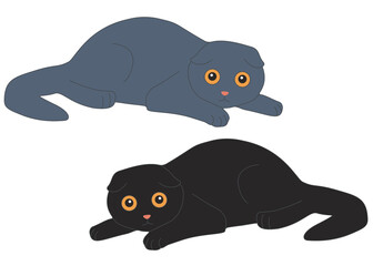 Blue and black Scottish cat in the set.