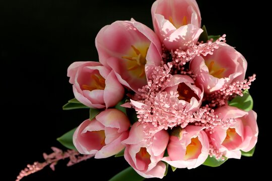 Bouquet of beautiful pink tulips in early spring as a postcard or picture with nice flowers in the black background