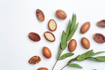 Argan seeds isolated on a white background. Argan oil nuts with plant. Cosmetics and natural oils background