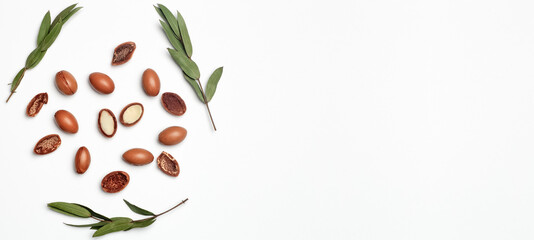 Argan seeds isolated on a white banner background. Argan oil nuts with plant. Cosmetics and natural oils background
