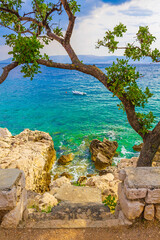 Beautiful Mediterranean landscape in Novi Vinodolski Croatia behind a tree.
