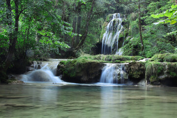 magnifique cascade dans une forêt, un îlot de fraîcheur. La cascade des Tufs près d'Arbois dans le Jura en France - obrazy, fototapety, plakaty