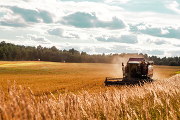 Harvester in a wheat field under the summer sun.
