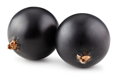 Black currant isolated on white. Package design element