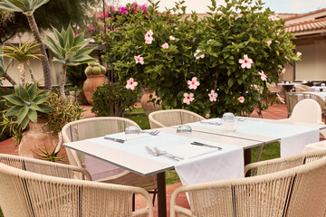 A beautiful table with a white tablecloth in the fresh air. The bush is green with pink hibiscus flowers. Relax on the terrace.