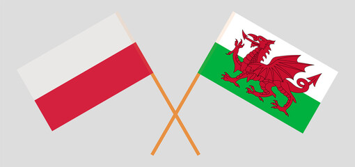 Crossed flags of Poland and Wales. Official colors. Correct proportion