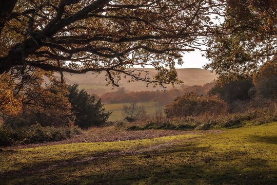 Beautiful Views From Surrey Hills. 