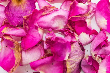 Flowers composition. Rose flower petals. Flat lay, top view,