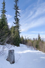 Path to Rusinowa polana i Tatry National Park. © Marcin