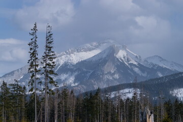 Landscape of Tatry National Park