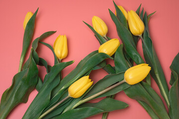 Obraz premium Yellow flowers on the colorful background. Top view, colorful flat lay. Beautiful background for birthday, women's day, anniversary, wedding, holiday cards, for banners.