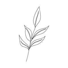 Branch plant drawn one line. Vector illustration in graphic style.