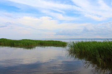 Fototapeta na wymiar A beautiful large wide river and reeds. Scenery. Background.