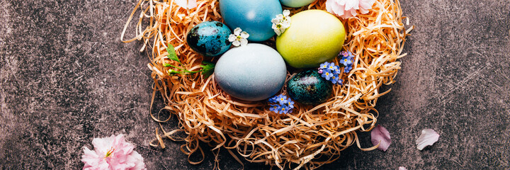 Fototapeta na wymiar Homemade naturally dyed eggs in pastel colors