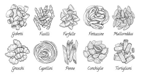 Italian Pasta. Vector food sketch icon set. Doodle macaroni illustration. Hand drawn cooking collection. Fettuccine Fusilli Gobetti Malloreddus Capellini Conchiglie Tortiglioni Penne Gnocchi Farfalle