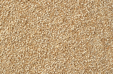 Quinoa grain or seeds for texture or ingredient background