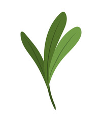green leaves icon