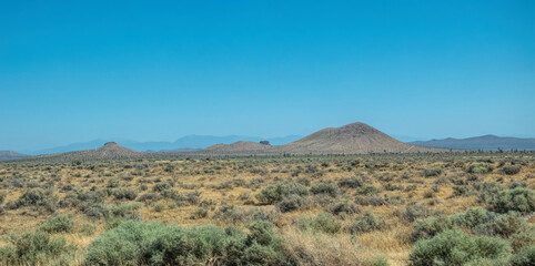 Yucca Plants and Mojave Desert Wasteland in California, USA