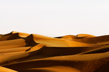 Fototapeta na wymiar Sand desert at sunset and the shadow of the dunes