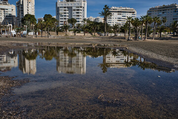 Fototapeta premium beach with palm trees, reflections and shadows, located in Alicante, Spain.