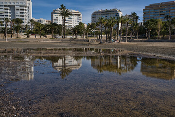 Naklejka premium beach with palm trees, reflections and shadows, located in Alicante, Spain.