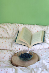 Bowl of blueberries and open book on a bed. Selective focus.