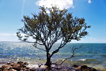 Key Biscayne - Florida
By Rio