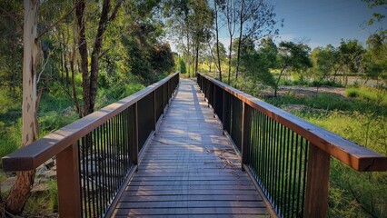 Wooden pedestrian bridge through local suburban wetlands with green trees and foliage.