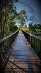 Wooden pedestrian bridge through local suburban wetlands with green trees and foliage.