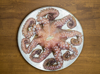 Octopus on the wooden table top view